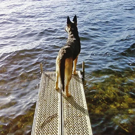 Nyaraló Ferienhaus,